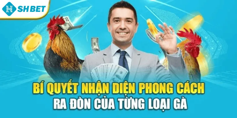 Bí quyết nhận diện phong cách ra đòn của từng loại gà